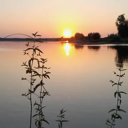 Dom wakacyjny Zur Zitadelle